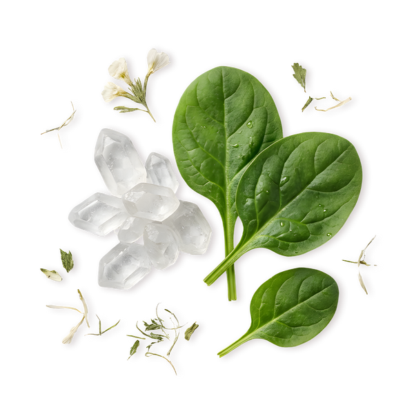 Clean Supporting Ingredients