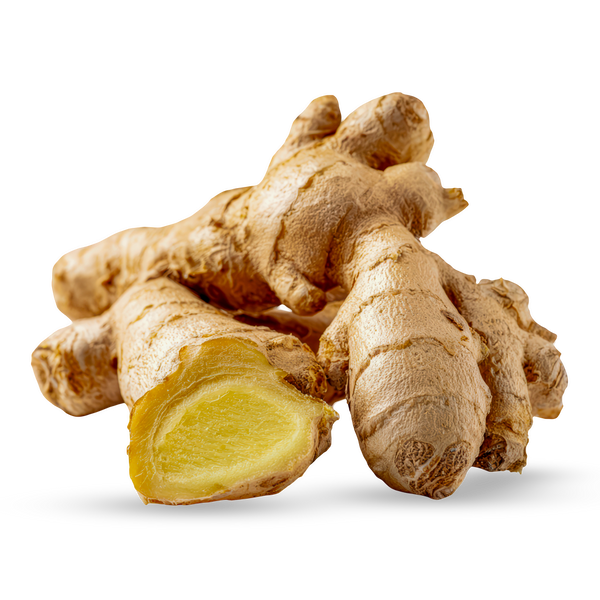 Ginger Extract