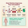 Nutrise Beetroot Circulation+ (3-in-1 Formula)